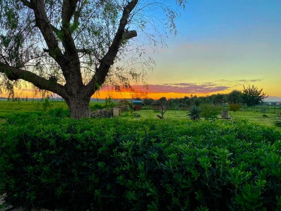 Vila Arcobaleno Di San Lorenzo Noto Exteriér fotografie